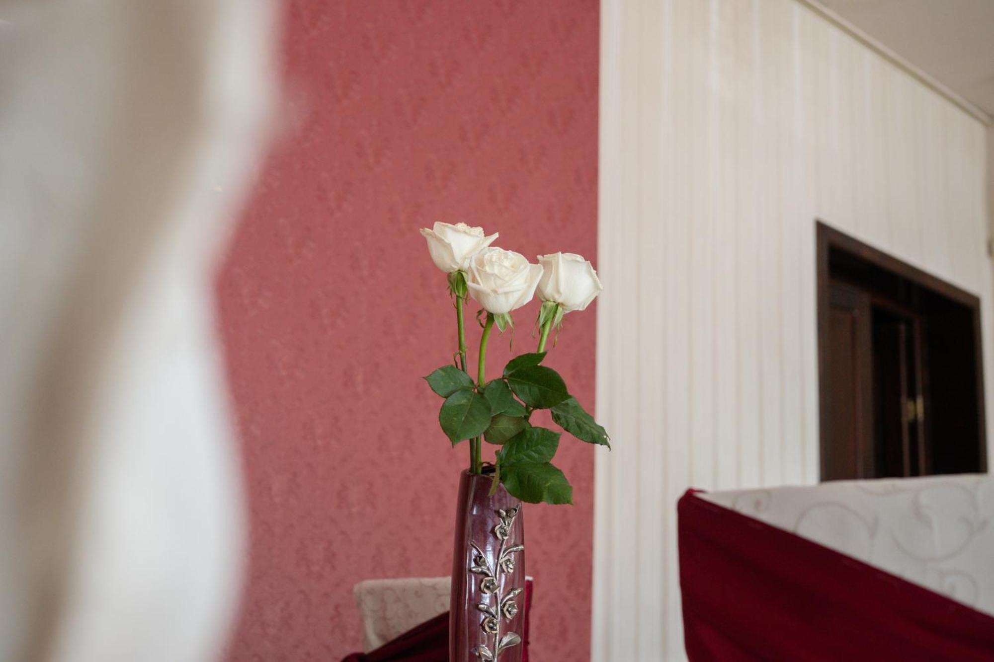 Hotel Regal Брэила Экстерьер фото